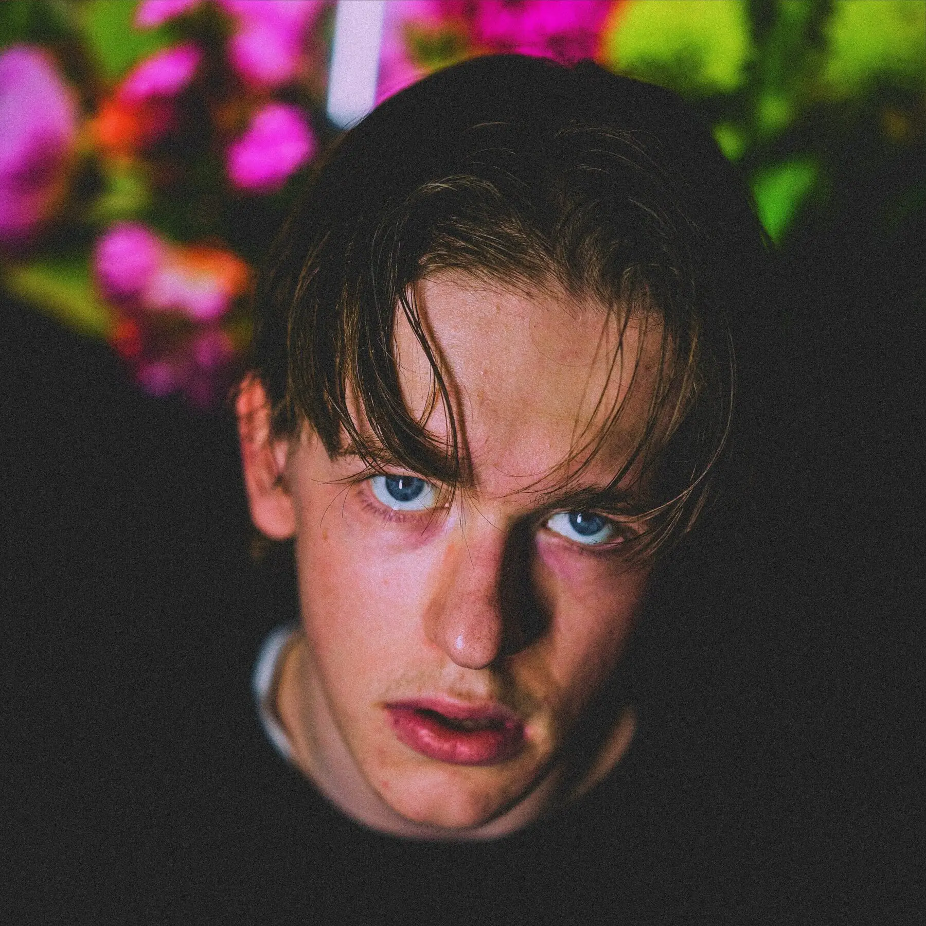 Nærbilde av OZZI omgitt av blomster